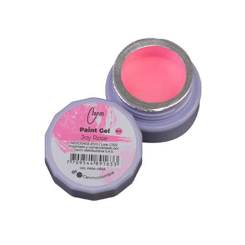 PAINT GEL CANM- JOY ROSE