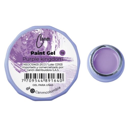 PAINT GEL CANM- PURPLE KINGDOM